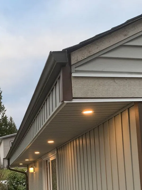 Fascia & Soffit Repair